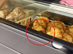 Откормленные тараканы в витрине кулинарии напрочь отбили аппетит у жительницы Кишинева 