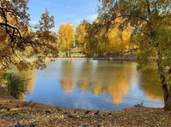 Бабье лето возвращается? Погода в Молдове на среду 