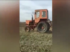 Видео: пьяный тракторист удирал на своем железном коне от приднестровских милиционеров