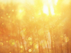 Завтра днем будет солнечно