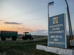 Гагаузия стоит партии Санду поперек горла - Букарский