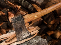 Зарубили топором и сожгли тело своего работодателя двое молдаван