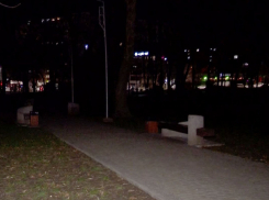 Темень и оголенные провода: парк на Ботанике пугает местных жителей