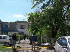 На Ботанике упавшее дерево убило сотрудника школы. Чебан: А Киртоакэ говорил, что в школах все в порядке