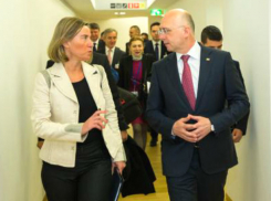 «Бдительный» Филип попросил Евросоюз пресечь несуществующие попытки «повлиять на итоги выборов из-за рубежа»