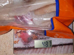 Удивительное филе минтая из гипермаркета на Ботанике вызвало негодование жительницы столицы