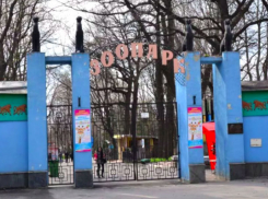 Молодой человек, получивший в зоопарке Харькова переломы костей таза и плеча, ушел из жизни