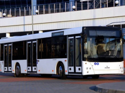 Стали известны результаты тендера по закупке автобусов  