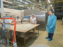 Президент посетил хлебобулочное предприятие в Шолданештах