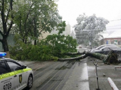 Внимание, водители! В ближайшие два дня в Кишиневе будет затруднено движение