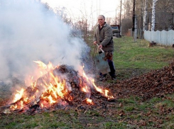 Власти решили штрафовать граждан за сжигание опавших листьев