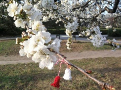 В воскресенье в Молдове будет тепло, местами возможны небольшие дожди 