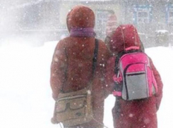 В пяти районах Молдовы отменили занятия в школах из-за сильного снегопада