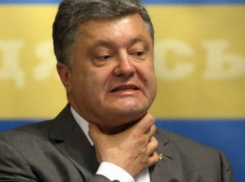 Шокированный акциями Саакашвили  и «гоп-компании» Порошенко стал героем карикатур