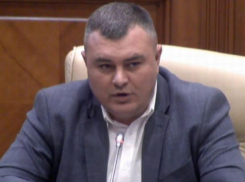 Григорий Новак высмеял Киртоакэ