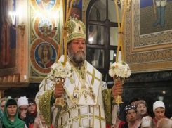 Антихристианские законы недопустимы - митрополит Владимир о ратификации Стамбульской конвенции