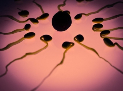 Коронавирус в сперме – Covid-19 передается половым путем, заставая врасплох множество мужчин