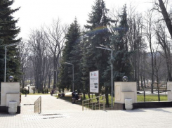В столичном парке «Алунелул» возобновились работы 
