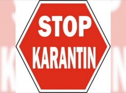 Молдавские туристы недовольны карантином по своему возвращению домой