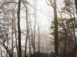 Пасмурно, дождливо и ветрено – погода в Молдове на пятницу 