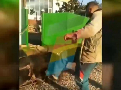 Неадекватный живодер до крови избил коня 
