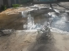 Ботаника сегодня частично осталась без воды