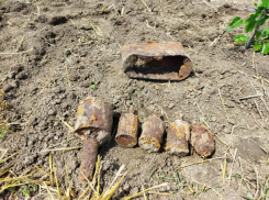  Боеприпасы времён Великой Отечественной войны найдены в Новоаненском районе во время поисковых работ