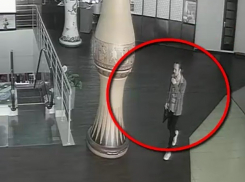 Опасный вор, промышляющий в торговых центрах Кишинева, попал на видео