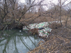 Ужасающее состояние реки Бык засняли на фото