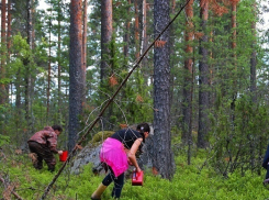 Большая группа сборщиков ягод из Украины загадочно исчезла в Финляндии
