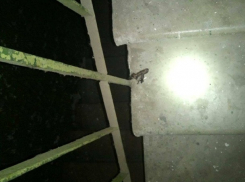 Харьковчанин погиб при взрыве гранаты в подъезде многоэтажки