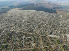 На «Дойне» скоро негде будет хоронить: главного кладбища страны хватит еще на 7-8 лет