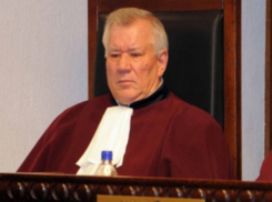 Экс-судья КС разнес в пух и прах Домнику Маноле