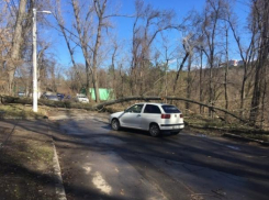 Одна из столичных улиц оказалась полностью заблокированной из-за поваленных деревьев