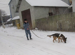 Избиваемая бабушкой девочка и ее брат попытались добраться из Калараша в Россию к отцу