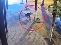 В центре Кишинева засняли мужчину, ворующего бордюр с тротуара