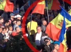 Полиция просит помощи в поиске зачинщиков беспорядков на митинге 24 апреля