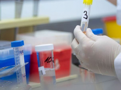 В Италии подтвердили информацию о заражении коронавирусом гражданки Молдовы