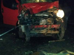 Три человека погибли в жутком столкновении микроавтобуса с подводой в Одесской области 