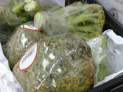 Актом щедрости назвали брокколи «дорблю» с плесенью в столичном супермаркете 