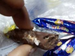 Жутких насекомых в купленных конфетах показал на видео кишиневец