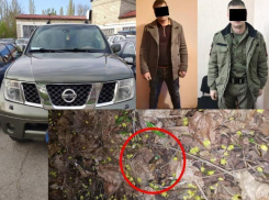 Гости столицы похитили и пытали кишиневца, избив его в лесу