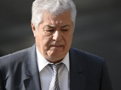 Стали известны доходы бывшего президента Владимира Воронина