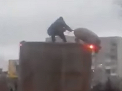 «Эпическая битва» дальнобойщика и свиньи на крыше фуры попала на видео 