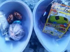 Киндер с запрещенным сюрпризом обнаружили украинские пограничники в автомобиле молдаванина