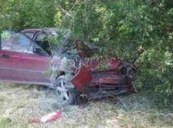 Водитель Honda чудом уцелел после ДТП с деревом в Кишиневе 