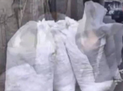 Пять мешков с миллионами SIM-карт для мобильных телефонов бросили злоумышленники, увидев свидетеля