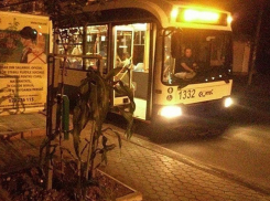 Троллейбусы № 22 и 24 продолжат ездить по ночам 