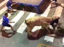 Жуткое видео: разъяренные быки растерзали зрителей на фестивале