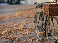 Понедельник в Молдове будет теплым и солнечным